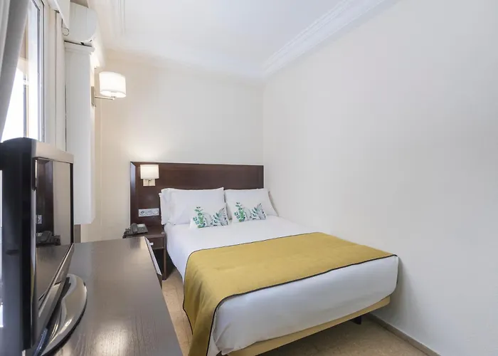 Itaca Colon By Soho Boutique 2*