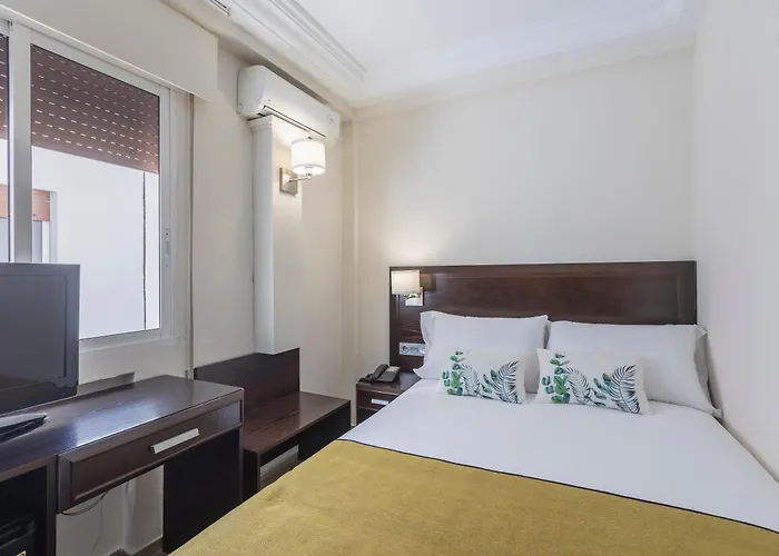 Itaca Colon By Soho Boutique